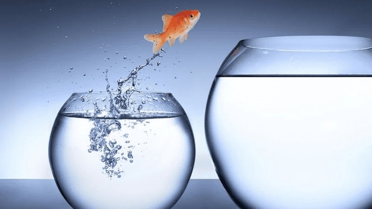 Unique Tips to Improve Life: Practical Ways to Build Better Habits and a Happier Mindset cme we must be able to adapt and change to the…