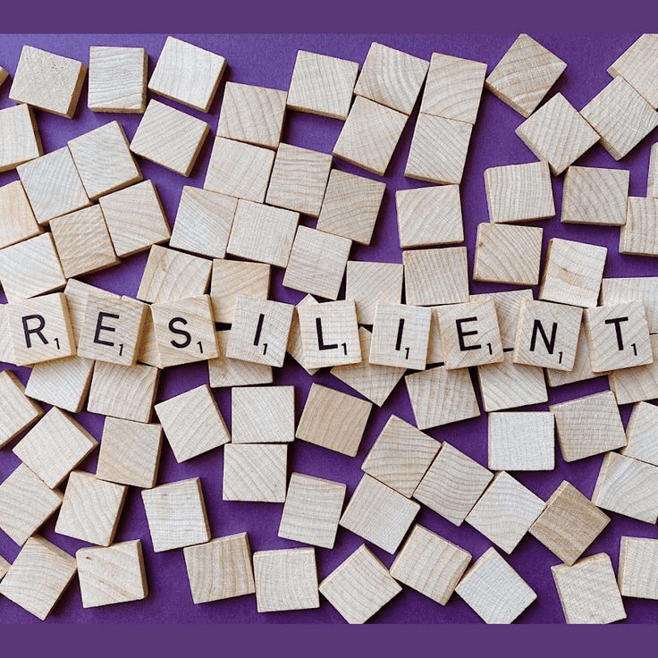 resilience is the ability to recover from setbacks…